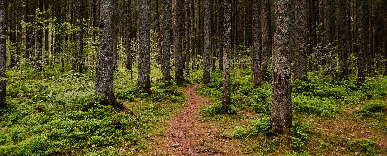 «Kauf bei hajk – unterstütz die Pfadi!»