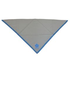 Silver Scouts Krawatte 