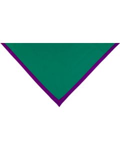 Halstuch gr&uuml;n Rand violett 2 cm