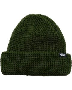 Beanie Quester