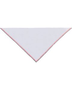 Foulard Scout Baregg Baden