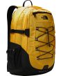 summit gold-tnf black-n