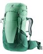 spearmint-seagreen