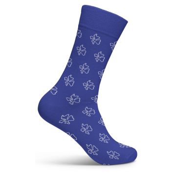 Pfadi Aargau Socken 