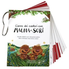 Carino Set Di Castori Marroni Animale Roditore Selvatico In Diverse Pose Cartoon