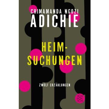 Heimsuchungen Erzählungen / Adichie