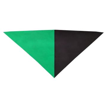 Halstuch grün/schwarz