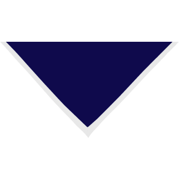 Halstuch marine Rand weiss 2 cm