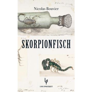 Skorpionfisch/ Bouvier Lenos