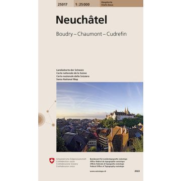 25017 Neuchâtel 1:25 000 / Swisstopo (Hauptorte)