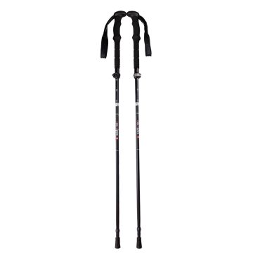 Bâtons pliables RT550 Horizon Ultra Carbon