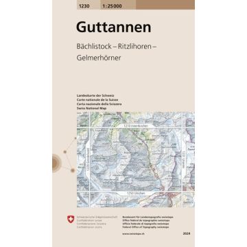 1230 Guttannen 1:25 000 / Swisstopo