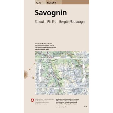 1236 Savognin 1:25 000 / Swisstopo