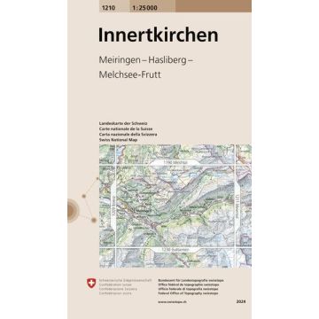1210 Innertkirchen 1:25 000 / Swisstopo