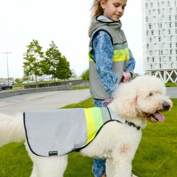 Leuchtweste Moonlight für Hunde