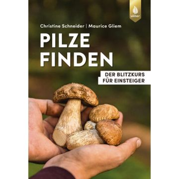 Pilze finden / Ulmer