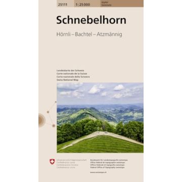 25111 Schnebelhorn 1:25 000 / Swisstopo (Gipfel)