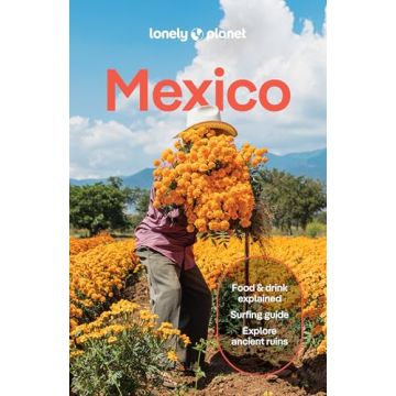 Reiseführer Mexico / Lonely Planet