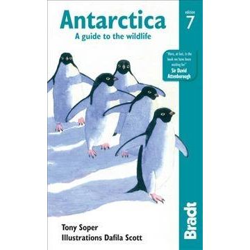 Guide de la nature Antarctica - a guide to the wildlife / Bradt Travel Guides