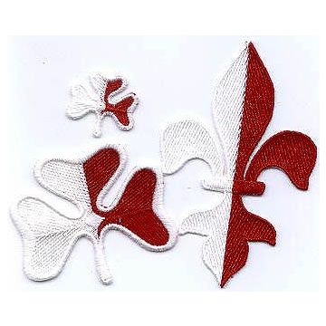 Abzeichen: Kleeblatt (Stoff) 5 cm  Trainer