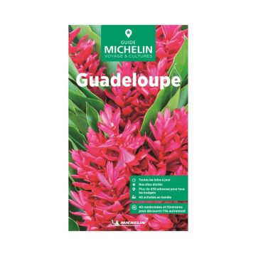 Reiseführer Guadeloupe / Guide Vert Michelin