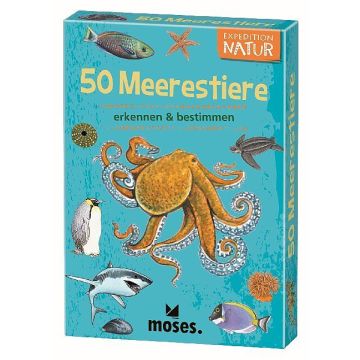 50 Meerestiere / Moses