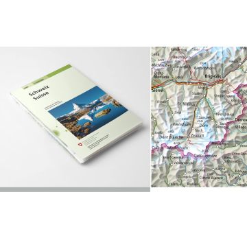 Schweiz mit umliegenden Ländern 1:1 Mio. 