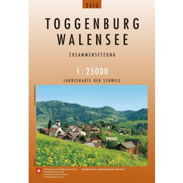 2513 Toggenburg - Walensee 1:25 000 / Swisstopo