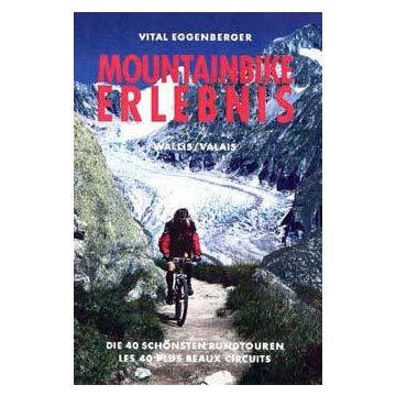 Mountainbike-Erlebnis Wallis / Climb & Bike