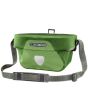 kiwi-moss green