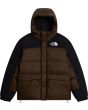 RM1 dark chestnut/t