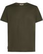 dark loden