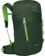 green canopy/limeline green