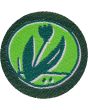 11 Garten