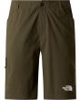 21L new taupe green
