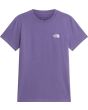 NNK grounded plum