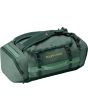 sycamore green