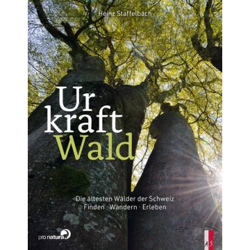 Urkraft Wald / AS Verlag