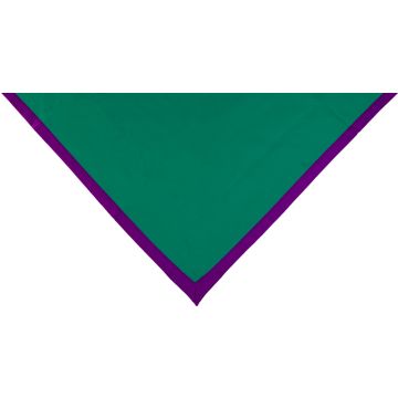 Halstuch grün Rand violett 2 cm
