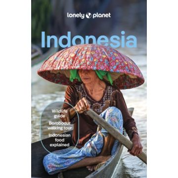 Reiseführer Indonesia / Lonely Planet