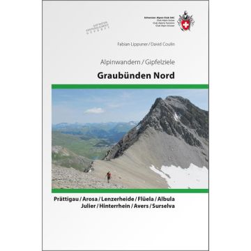 Wanderführer Alpinwandern Gipfelziele Graubünden Nord / SAC