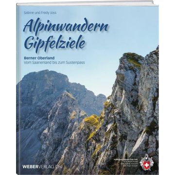 Alpinwandern Gipfelziele Berner Oberland / Weber