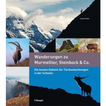 Wanderführer Wanderungen zu Murmeltier, Steinbock & Co. / Haupt