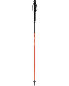 Bâtons pliables MTX Carbon Vario
