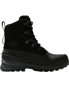 M Chilkat V Lace WP