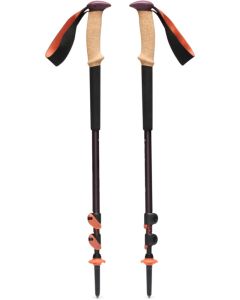 Bâton de randonnée Trail Cork