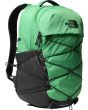 ROJ optic emerald/tnf black