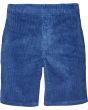 lite navy