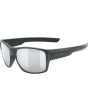 black matt (silver)