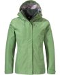 lichen green